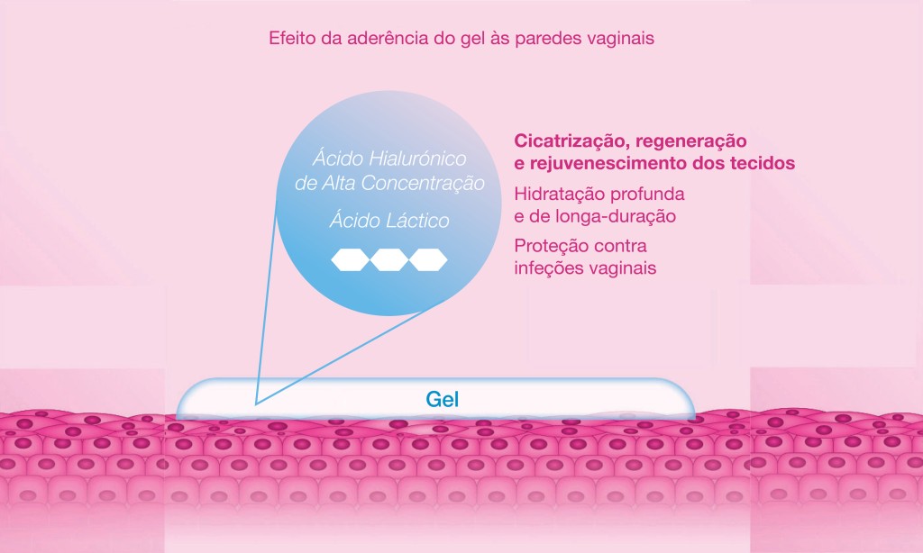 ClimaCare Gel Vaginal Menopausa Pós-parto Secura Vaginal Atrofia Vaginal