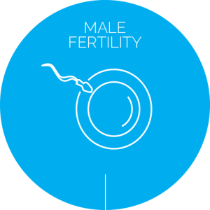 Male Fertilty