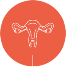 Fertilidade Feminina