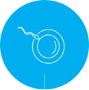 Fertilidade Masculina